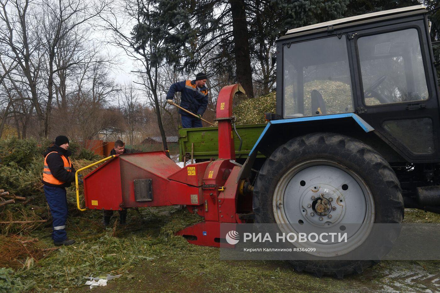 Переработка и утилизация новогодних елей