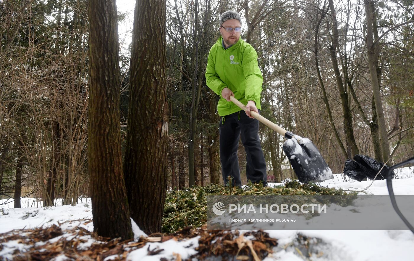 Переработка и утилизация новогодних елей