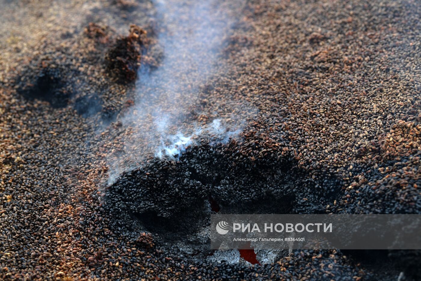 Работа элеватора в Запорожской области