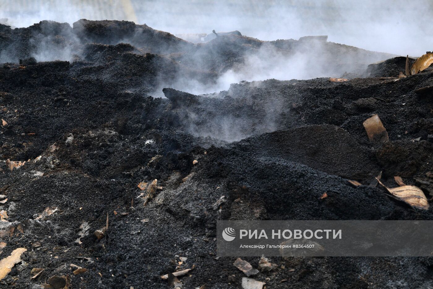 Работа элеватора в Запорожской области