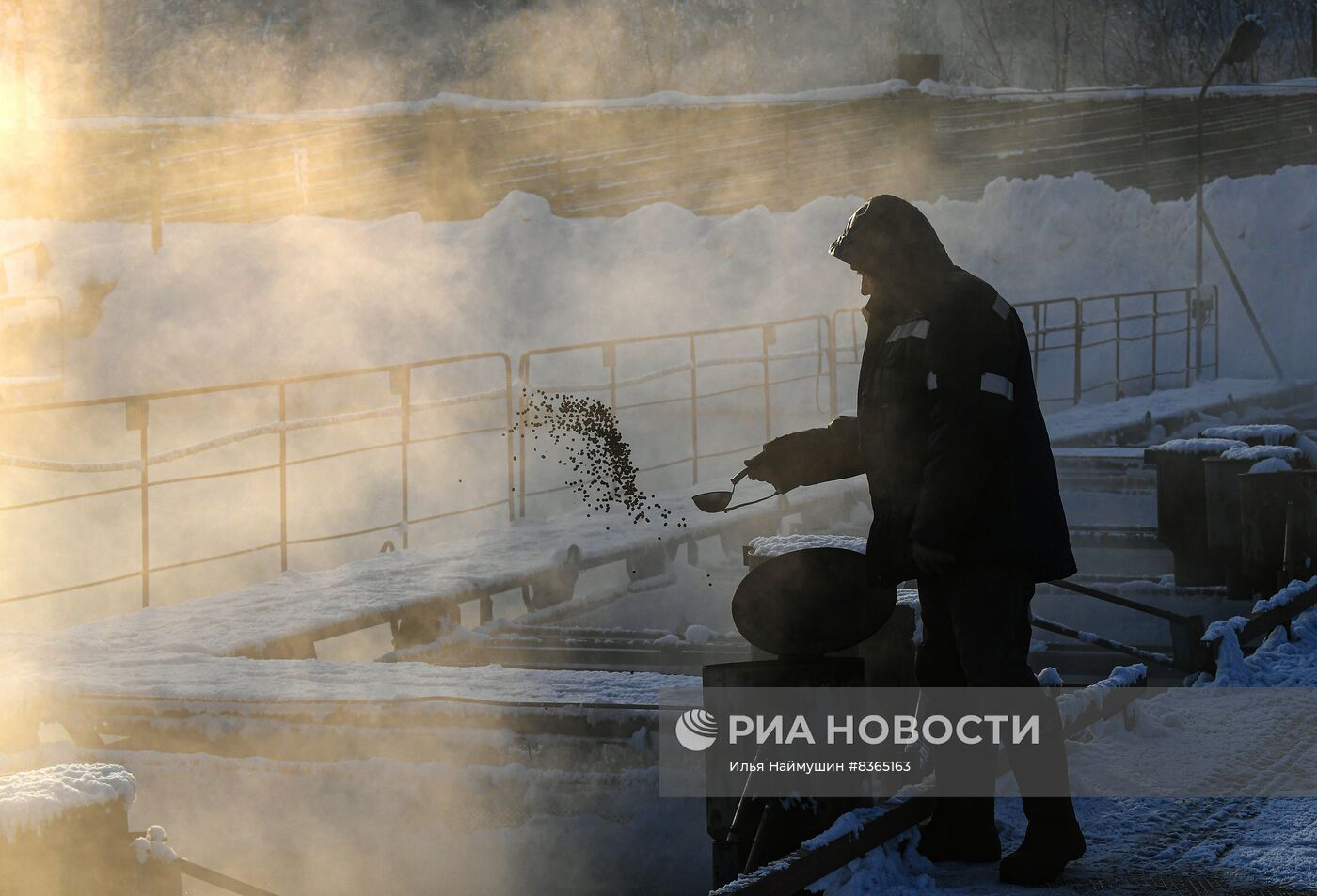 Назаровское рыбное хозяйство в Красноярском крае