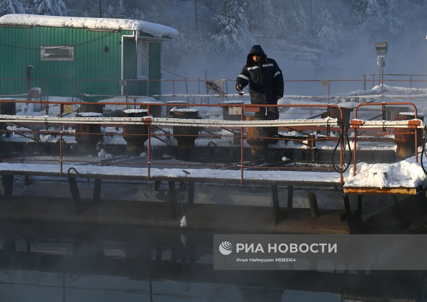 Назаровское рыбное хозяйство в Красноярском крае