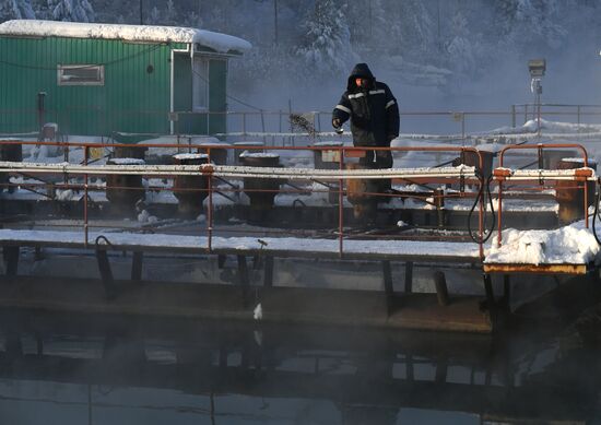 Назаровское рыбное хозяйство в Красноярском крае