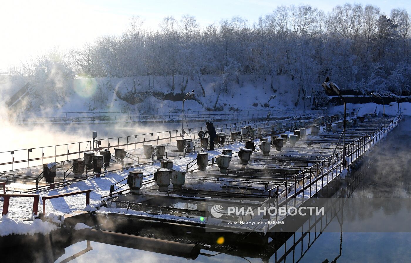 Назаровское рыбное хозяйство в Красноярском крае