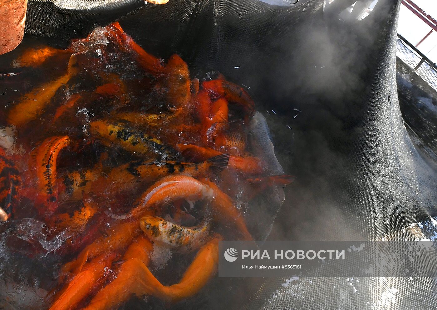 Назаровское рыбное хозяйство в Красноярском крае