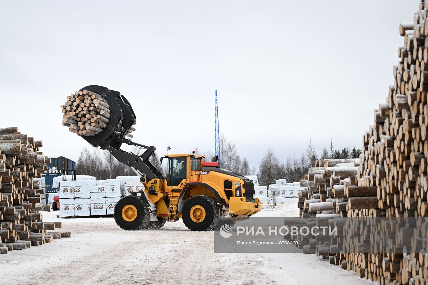 Устьянский лесопромышленный комплекс в Архангельской области