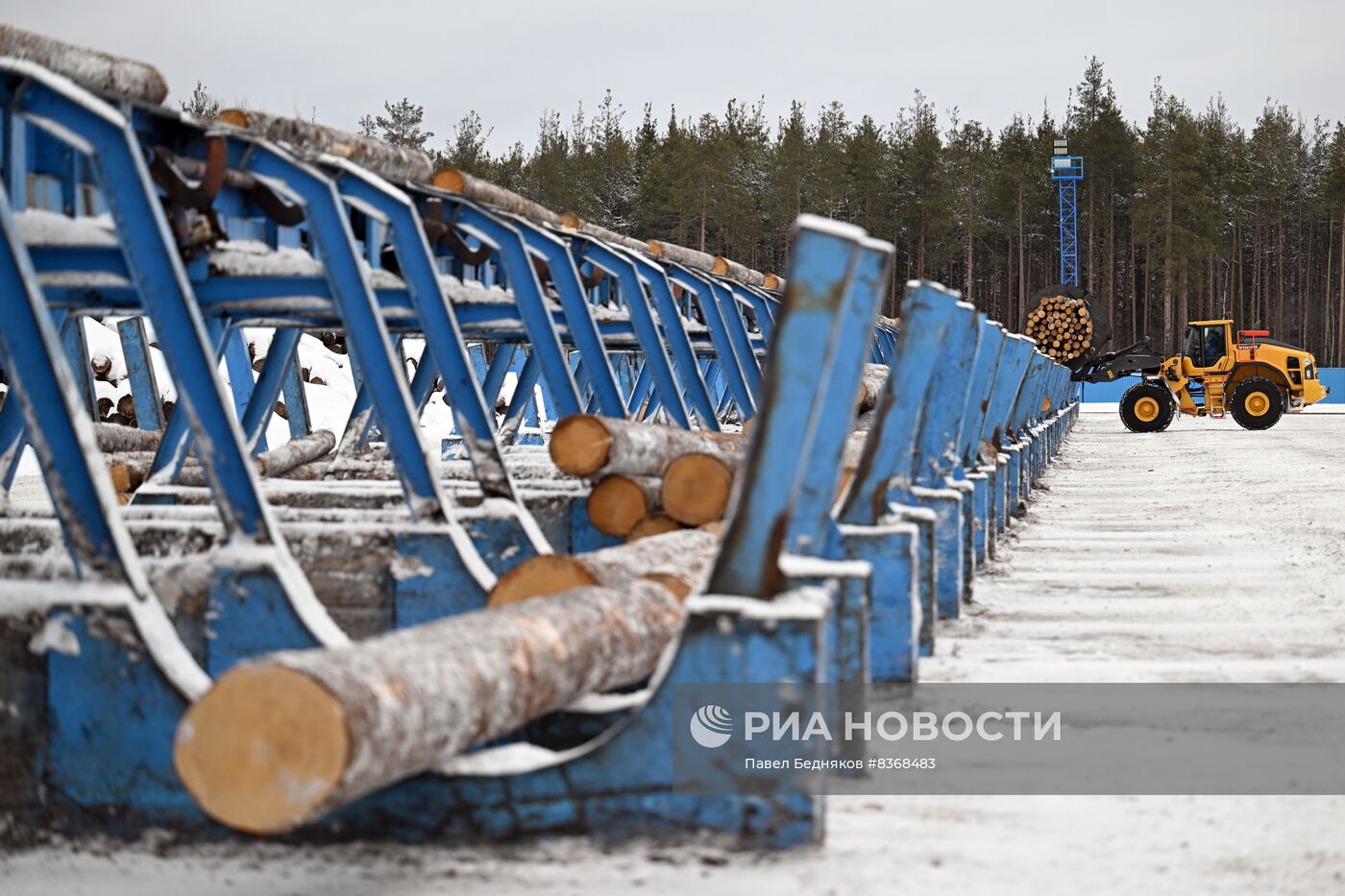 Устьянский лесопромышленный комплекс в Архангельской области