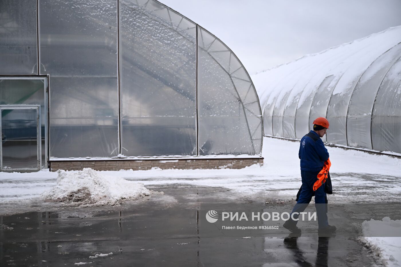 Устьянский лесопромышленный комплекс в Архангельской области