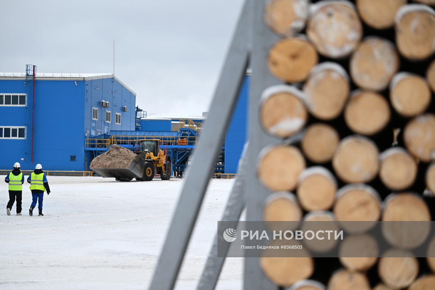 Устьянский лесопромышленный комплекс в Архангельской области