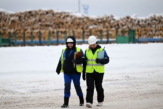 Устьянский лесопромышленный комплекс в Архангельской области