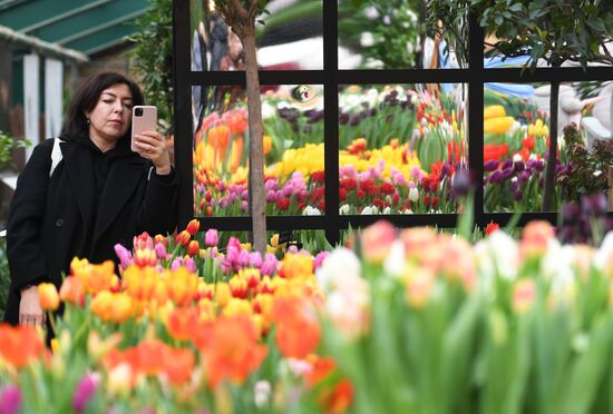 Выставка цветов "Репетиция весны"