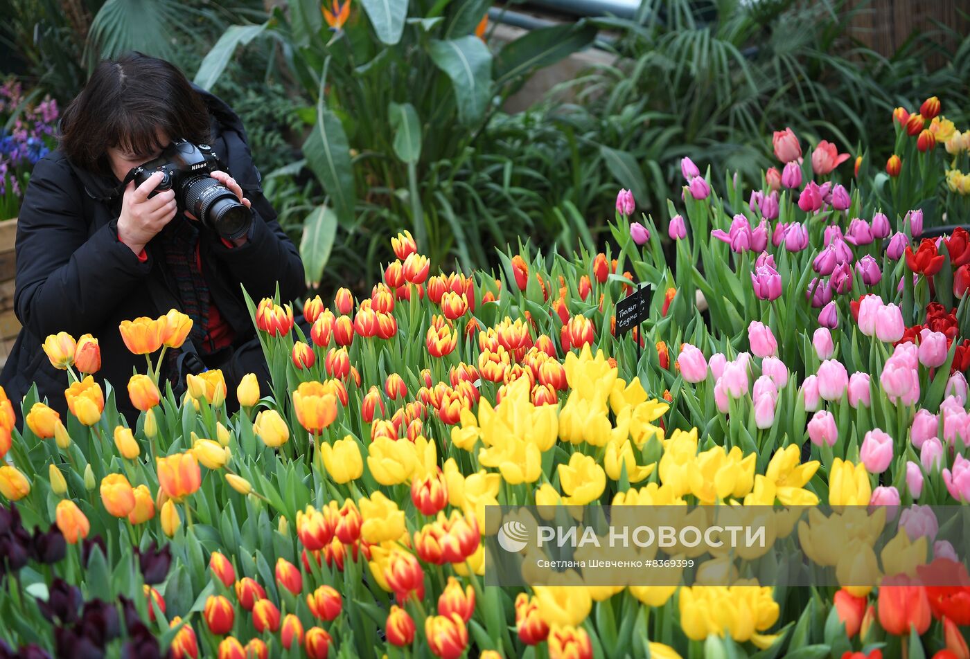 Выставка цветов "Репетиция весны"