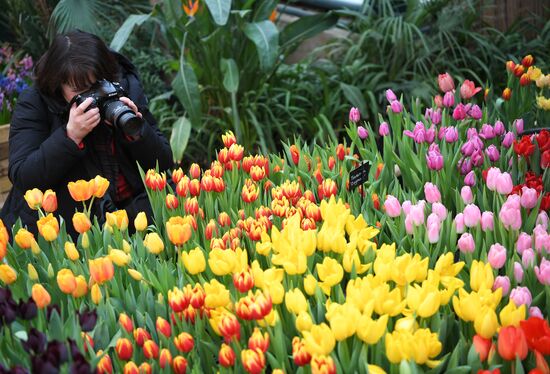 Выставка цветов "Репетиция весны"