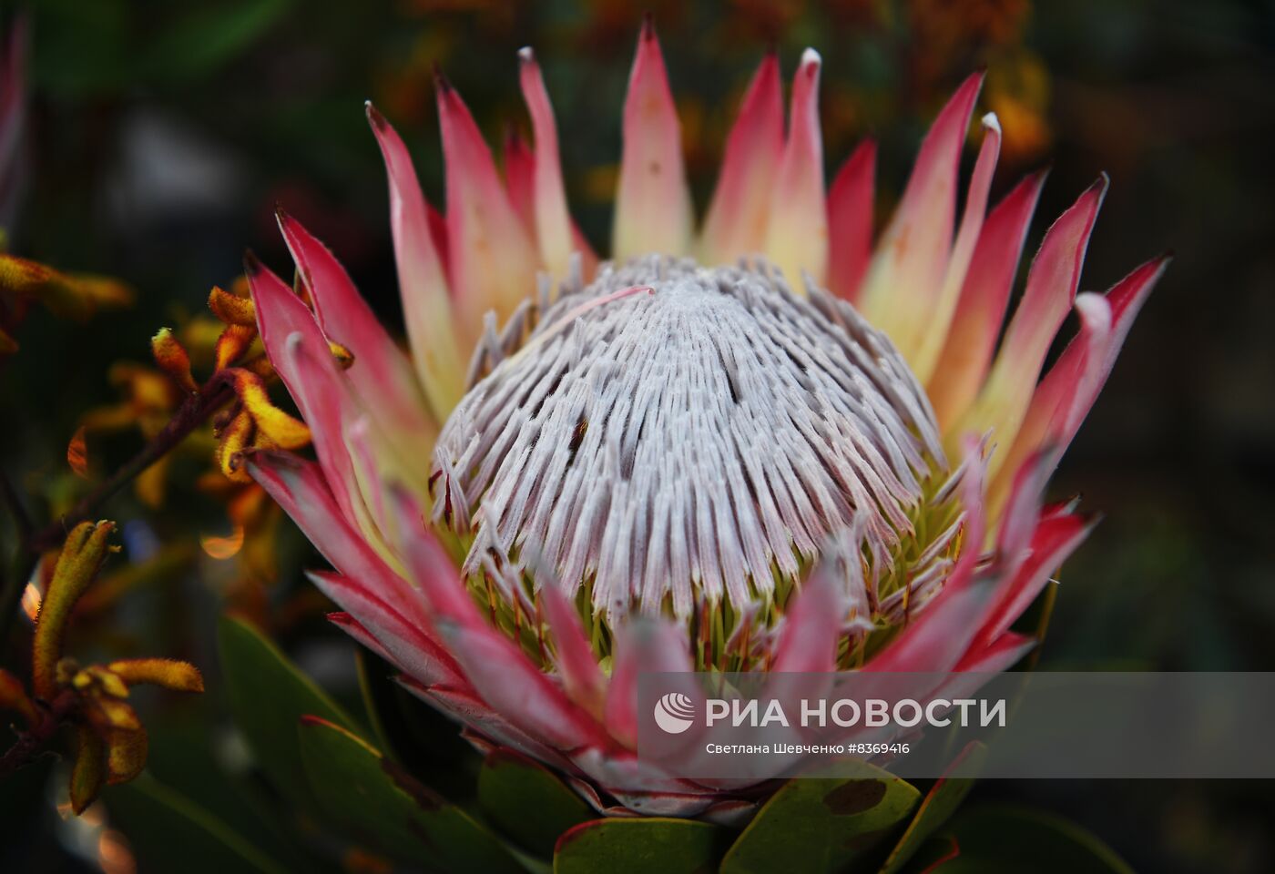 Выставка цветов "Репетиция весны"