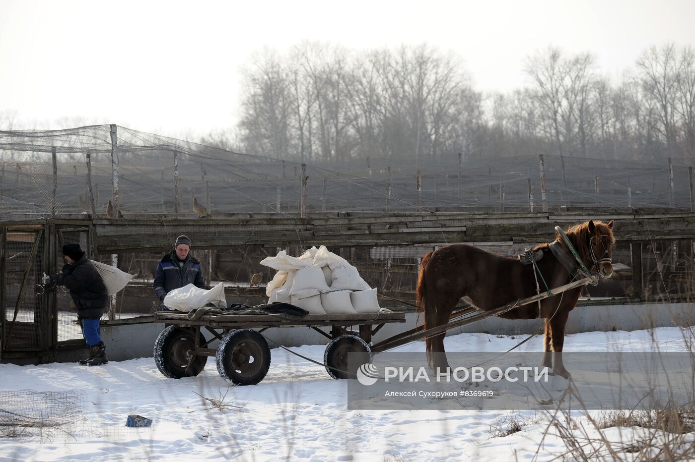 Работа птицефермы в Тамбовской области