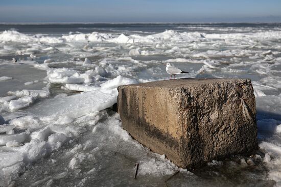 Азовское море замерзло в Краснодарском крае