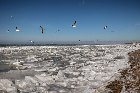 Азовское море замерзло в Краснодарском крае