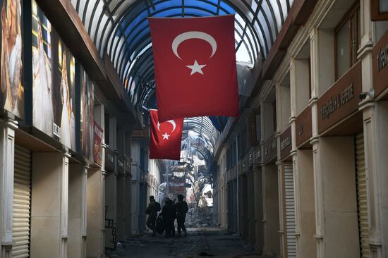 Ликвидация последствий землетрясения продолжается в Турции