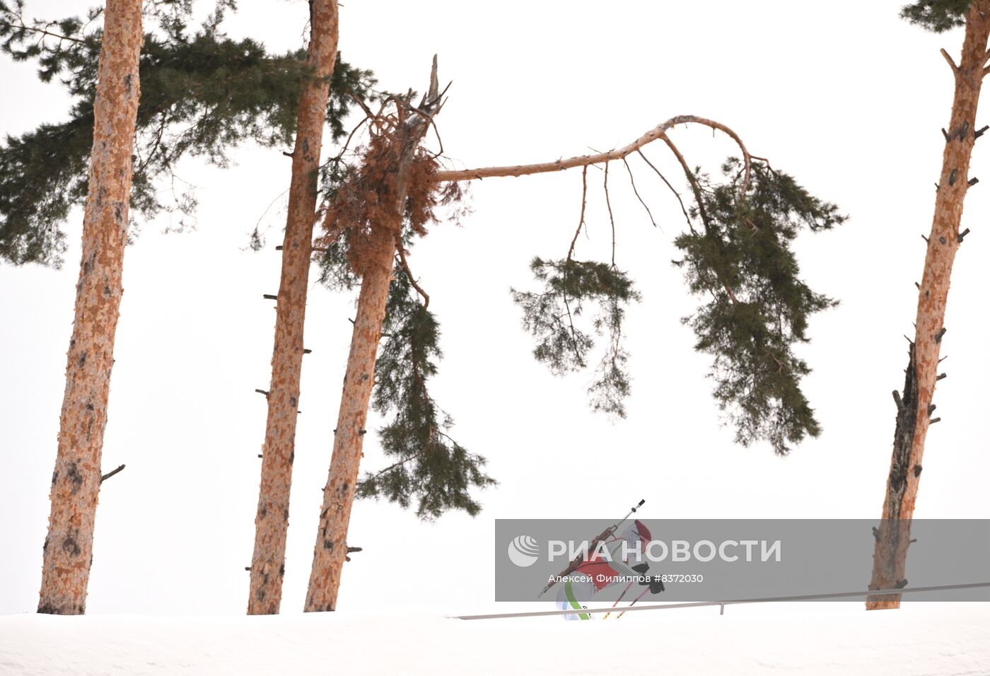 Биатлон. Кубок России. Женщины. Спринт