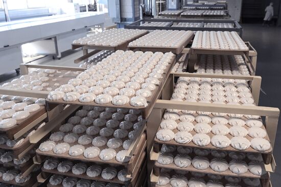 Производство кондитерских изделий в Новосибирске