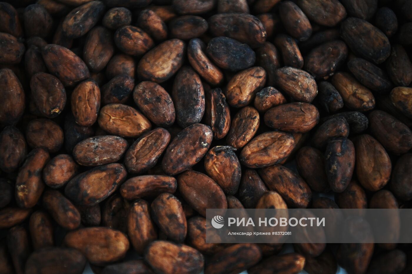 Производство кондитерских изделий в Новосибирске