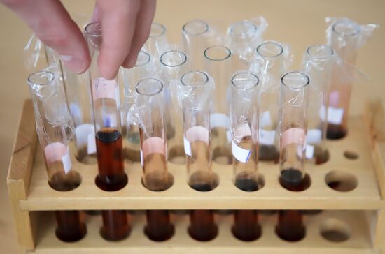 Разработка российского препарата для КТ и МРТ-исследований