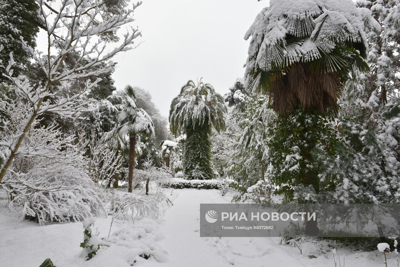 Снег в Абхазии