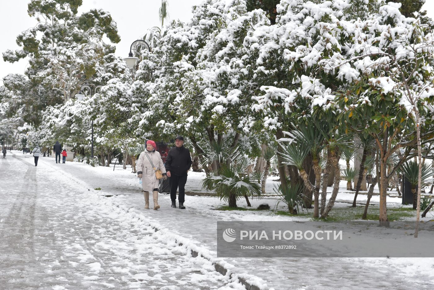 Снег в Абхазии