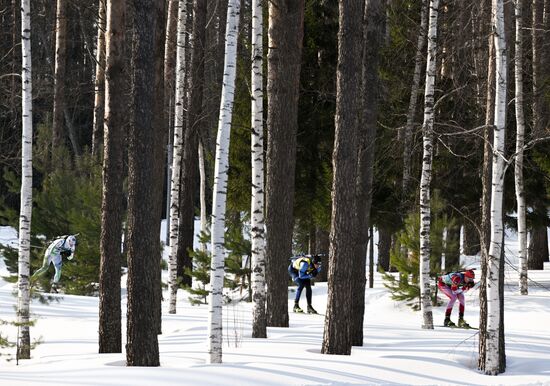 Биатлон. Кубок России. Мужчины. Гонка преследования