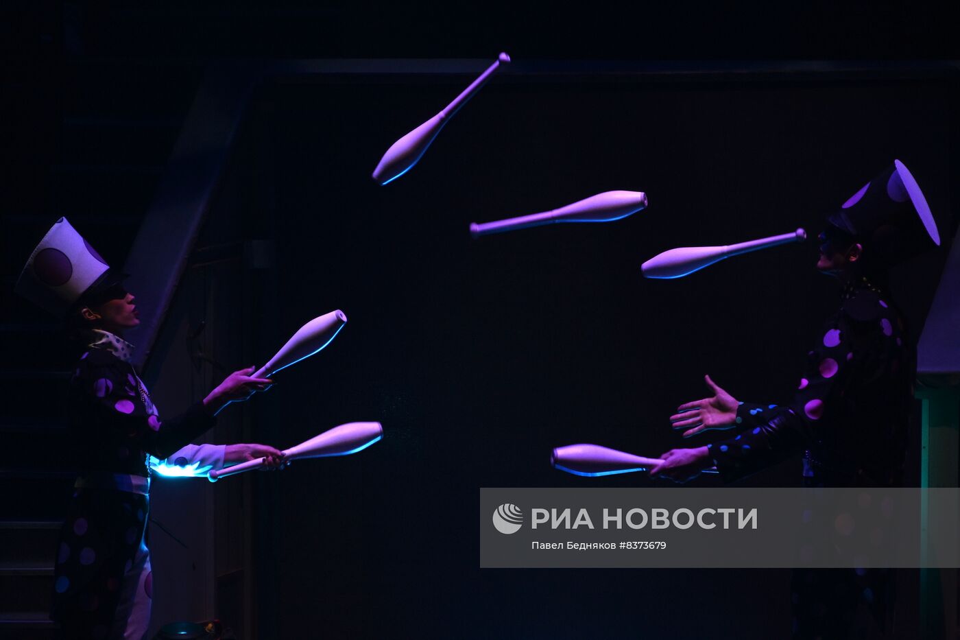 Премьера спектакля "КороЛЕВство" в Большом Московском цирке