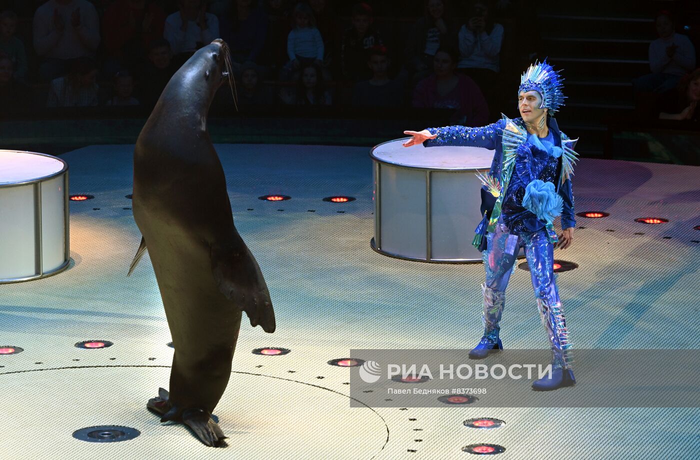 Премьера спектакля "КороЛЕВство" в Большом Московском цирке