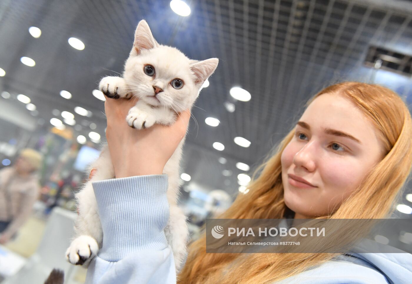 Международная выставка кошек Coral Jubilee Show в Москве