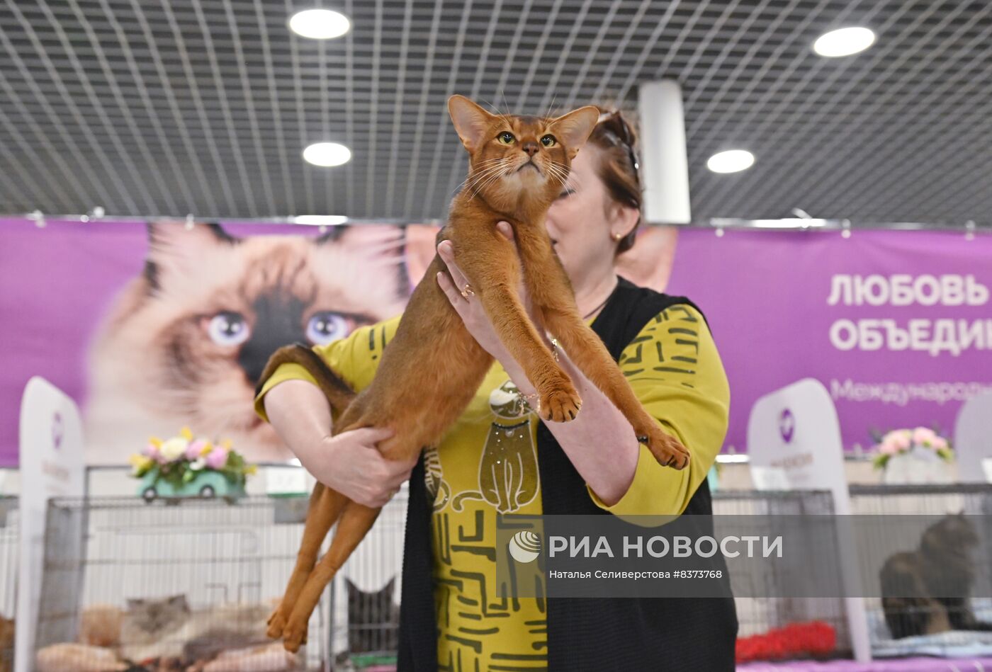 Международная выставка кошек Coral Jubilee Show в Москве