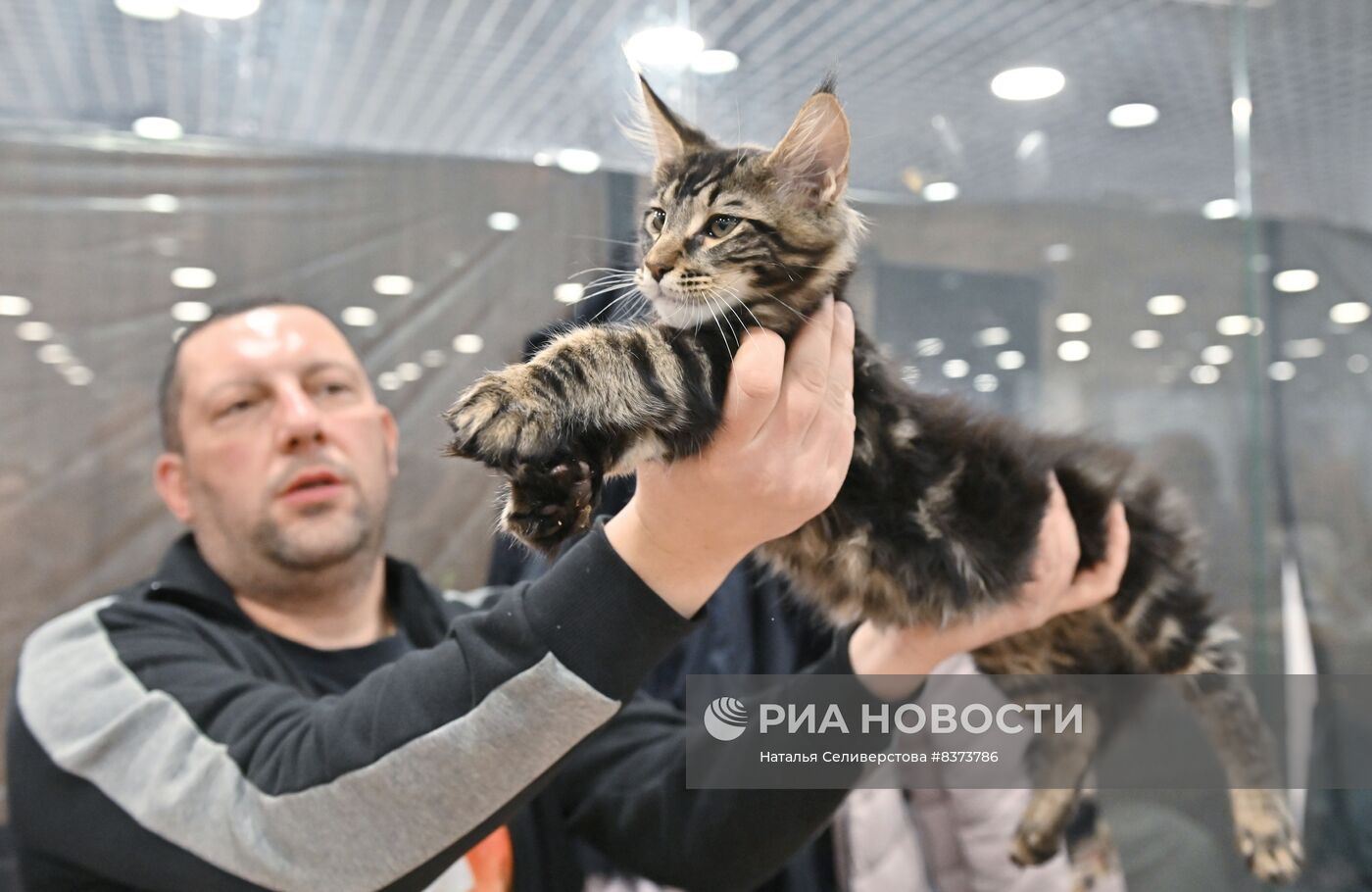 Международная выставка кошек Coral Jubilee Show в Москве