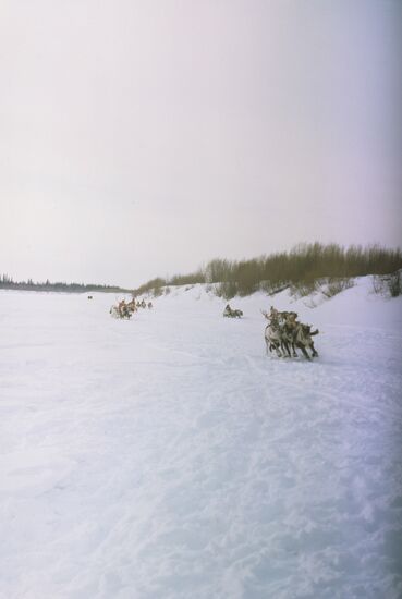 Праздник Народов Севера