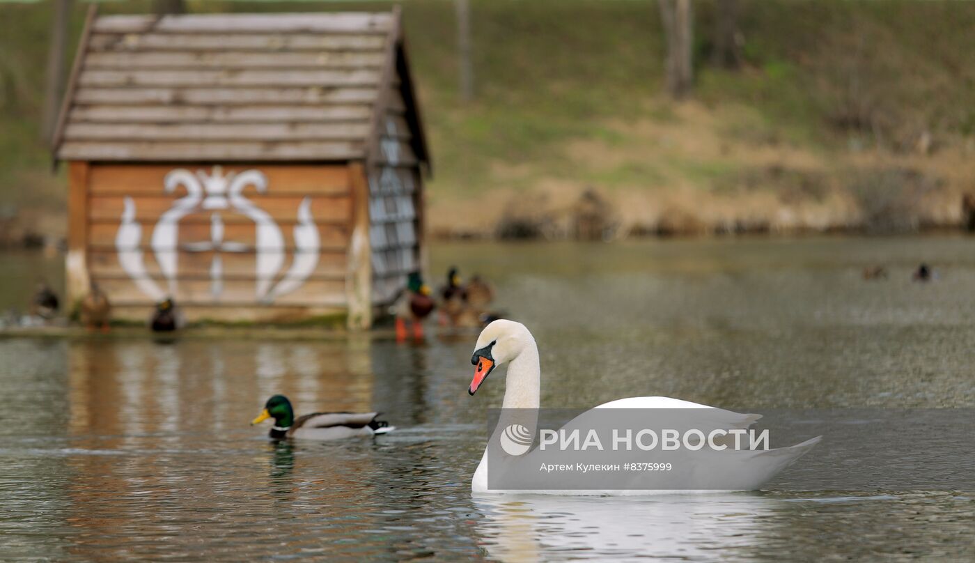 Города мира. Тирасполь