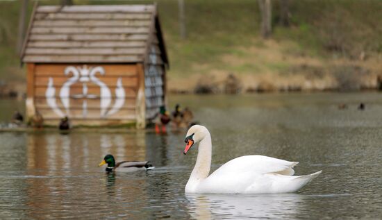 Города мира. Тирасполь