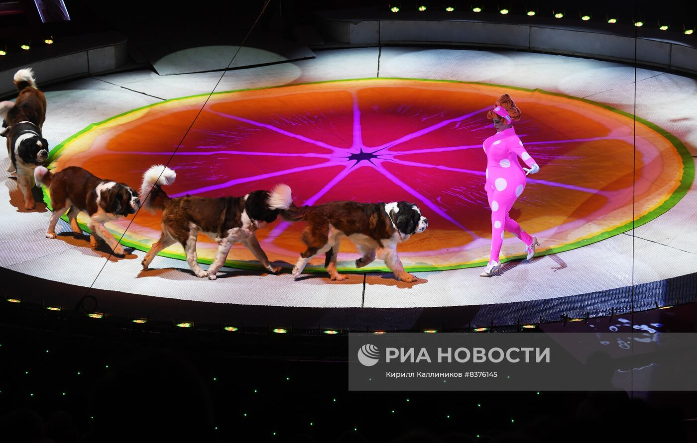 Новая программа Московского цирка Никулина "Акварель"
