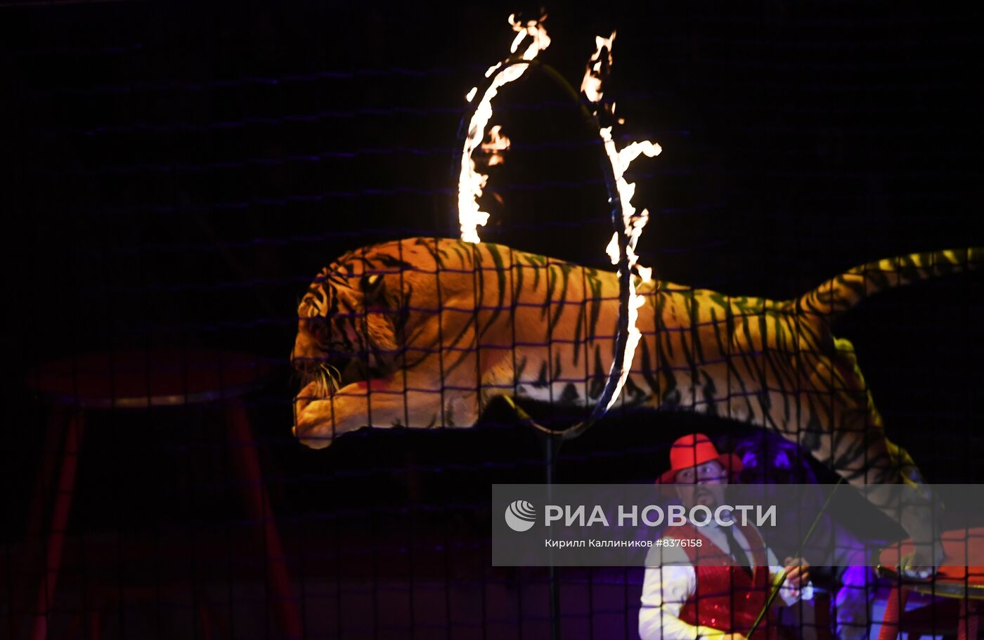 Новая программа Московского цирка Никулина "Акварель"