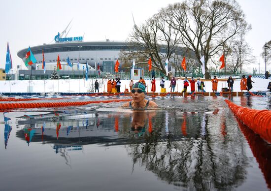 Соревнования по зимнему плаванию Кубок Большой Невы-2023 