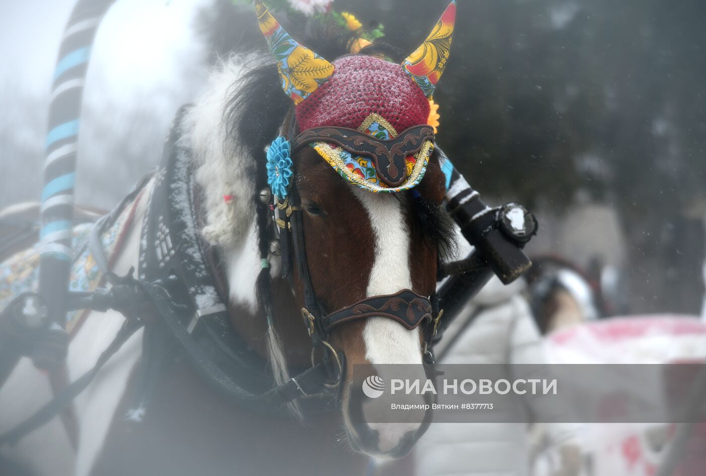 Масленица в Суздале