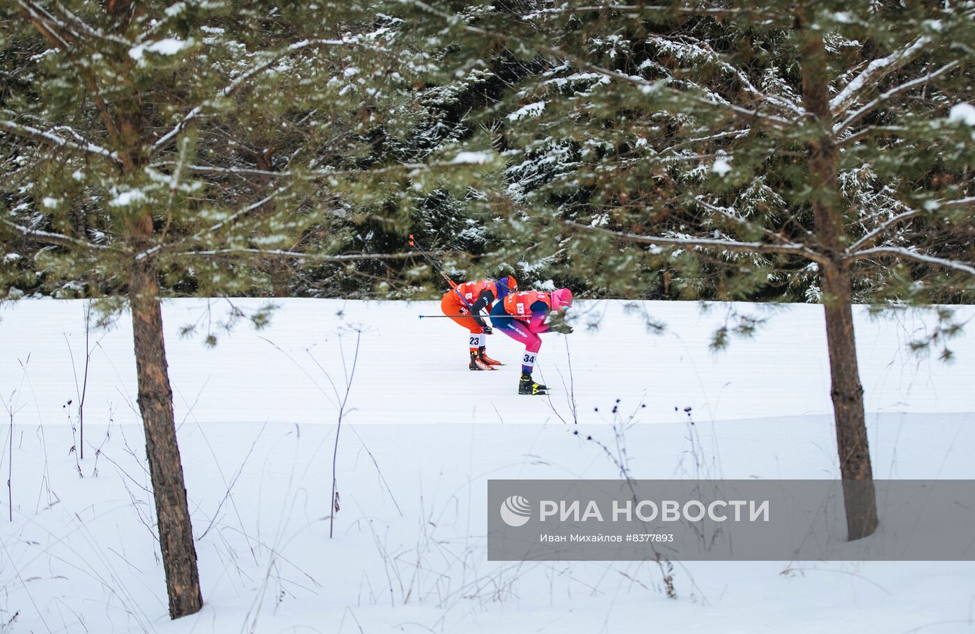 Лыжные гонки. "Чемпионские высоты". Женщины. Скиатлон