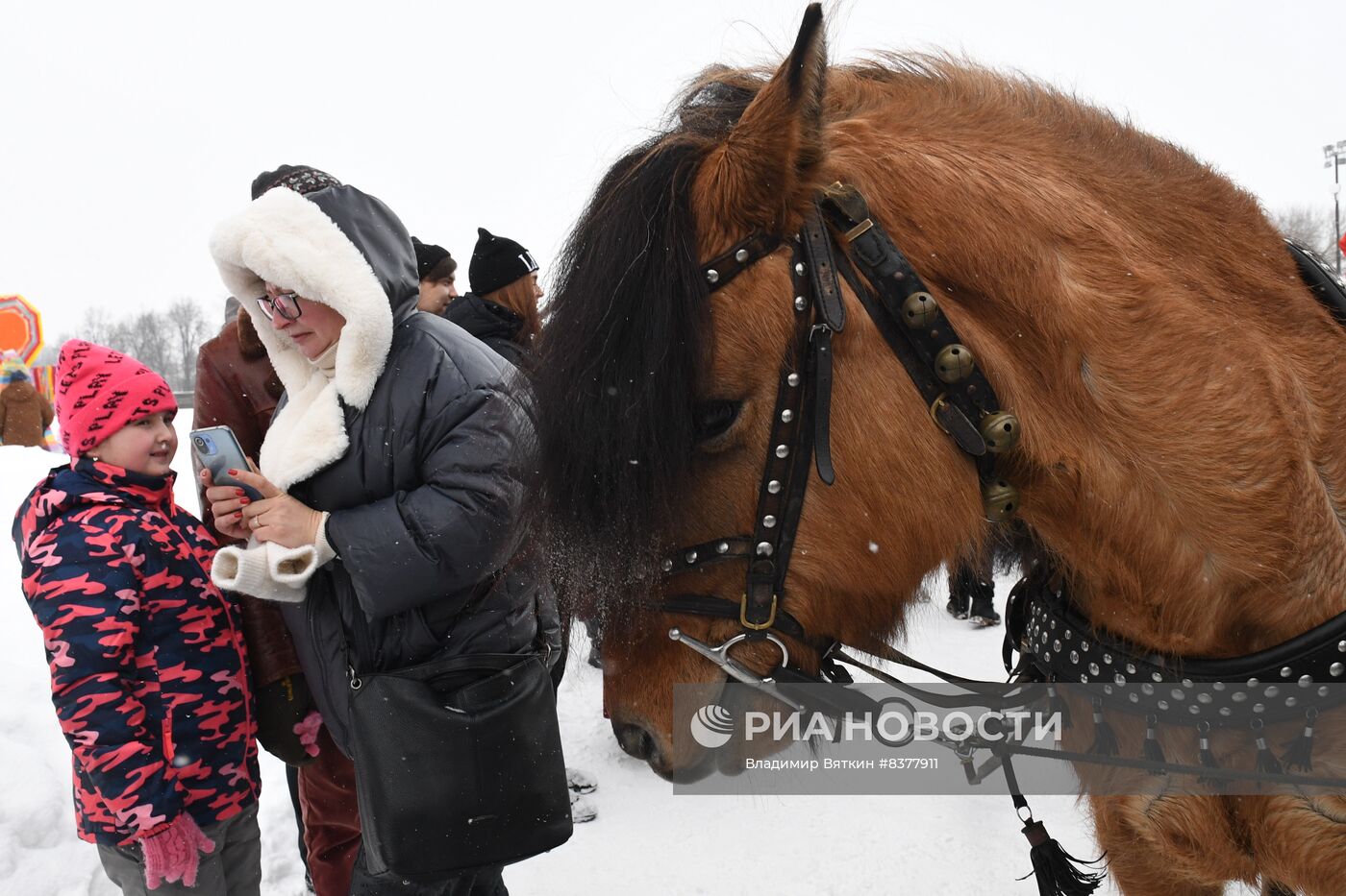 Масленица в Суздале