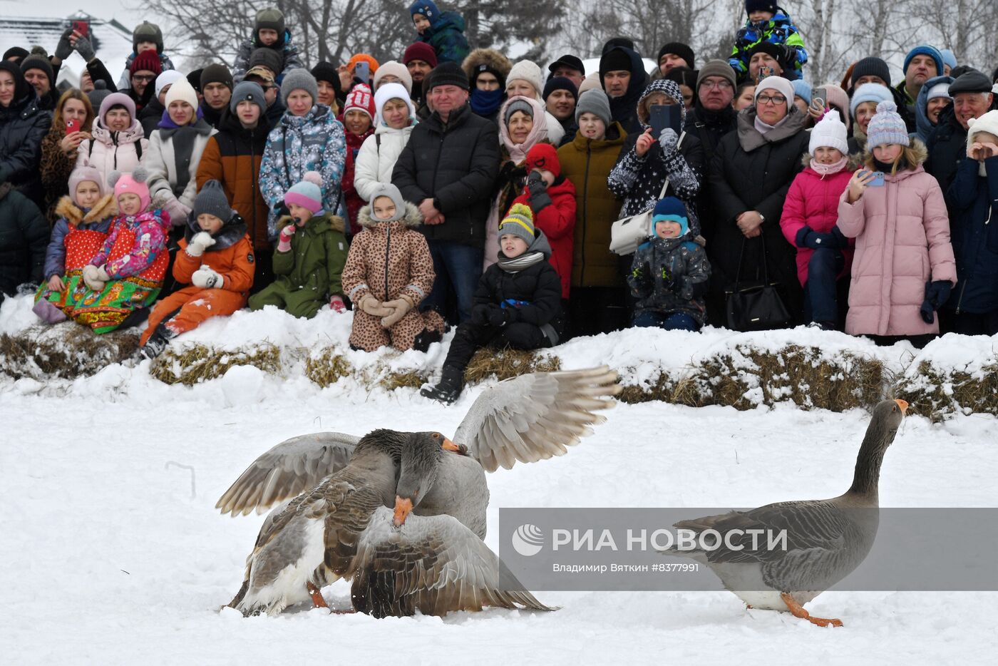 Масленица в Суздале