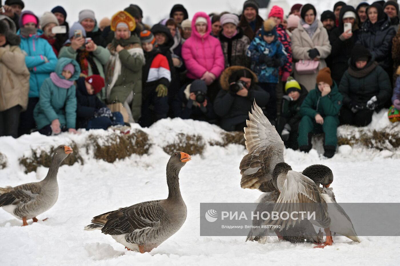 Масленица в Суздале