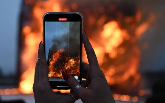 Масленица в Никола-Ленивце