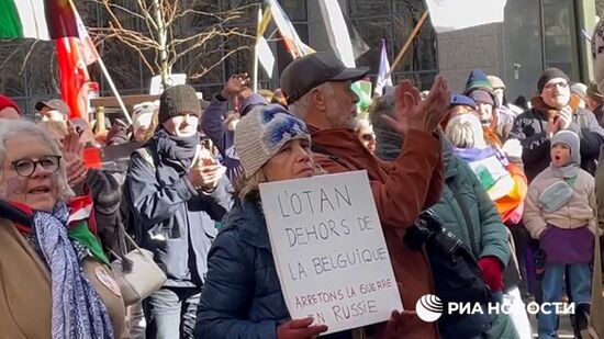 В Брюсселе прошла акция противников политики ЕС и НАТО по Украине