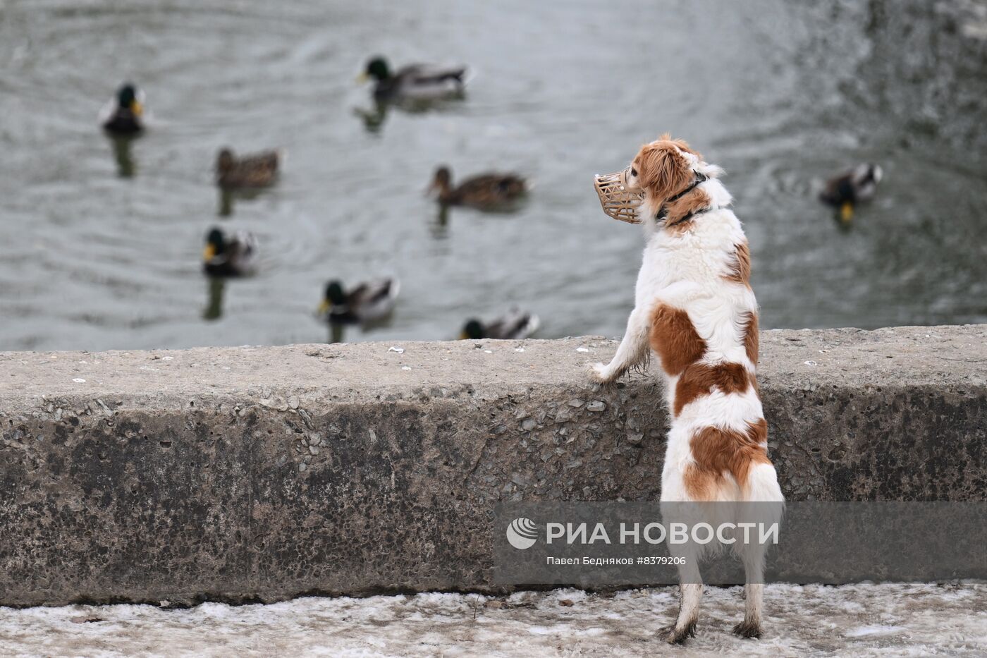 Города России. Волгоград