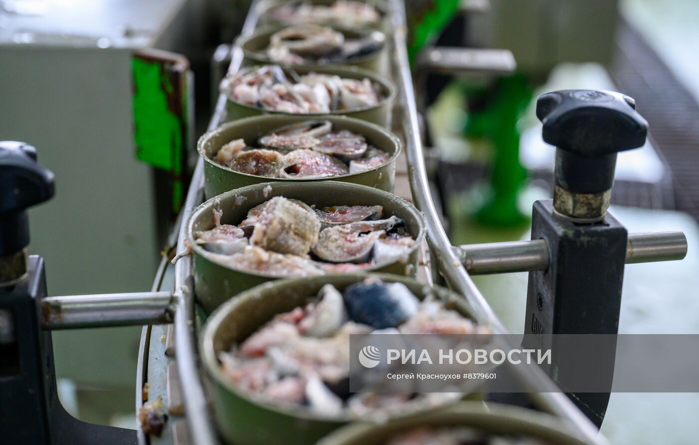 Производство рыбных консервов в Сахалинской области