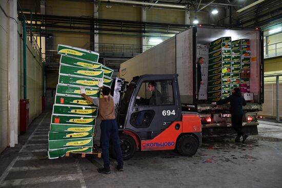 Поставка цветов к 8 Марта в Екатеринбург